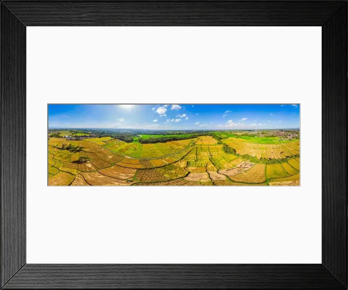 Framed Print : Photo from drone, rice harvesting by local farmers Framed Print : Photo from drone, rice harvesting by local farmers
