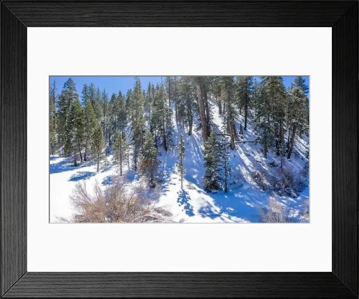Framed Print : A fresh blanket of snow brings a new version of beauty to the Southern Californian mountains Framed Print : A fresh blanket of snow brings a new version of beauty to the Southern Californian mountains