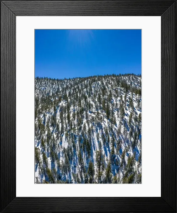 Framed Print : A fresh blanket of snow brings a new version of beauty to the Southern Californian mountains