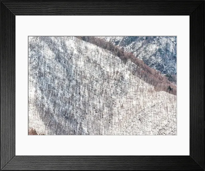 Framed Print : Mountain white snow in Okuhida villages in Gifu Prefecture, Japan park with many bare trees forest Framed Print : Mountain white snow in Okuhida villages in Gifu Prefecture, Japan park with many bare trees forest