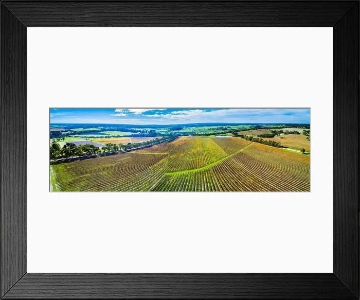 Framed Print : Scenic aerial panorama of large vineyard in autumn. Mornington Peninsula, Melbourne, Australia Framed Print : Scenic aerial panorama of large vineyard in autumn. Mornington Peninsula, Melbourne, Australia