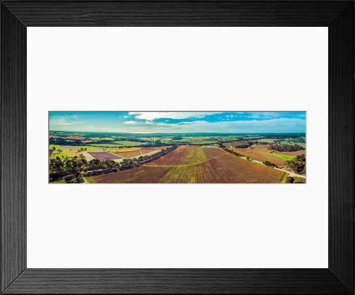 Framed Print : Ultra wide aerial panorama of huge vineyard and rural landscape of Mornington Peninsula, Victoria, Australia Framed Print : Ultra wide aerial panorama of huge vineyard and rural landscape of Mornington Peninsula, Victoria, Australia