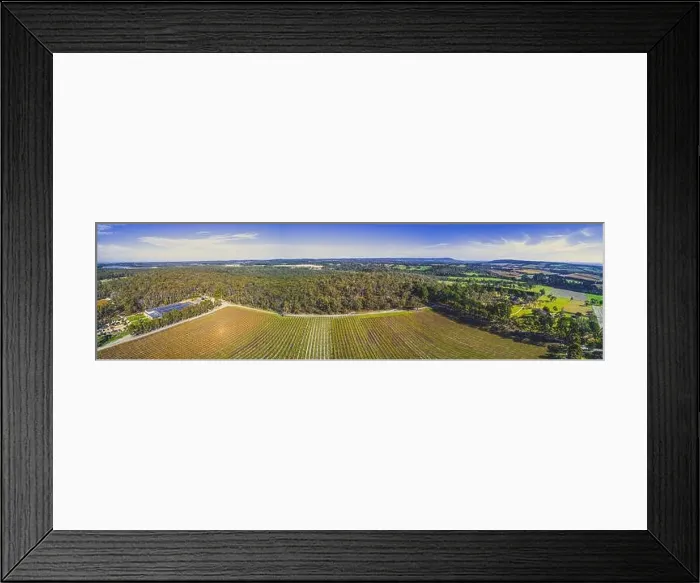 Framed Print : Vineyard and surrounding forest on bright sunny day - wide aerial panorama Framed Print : Vineyard and surrounding forest on bright sunny day - wide aerial panorama