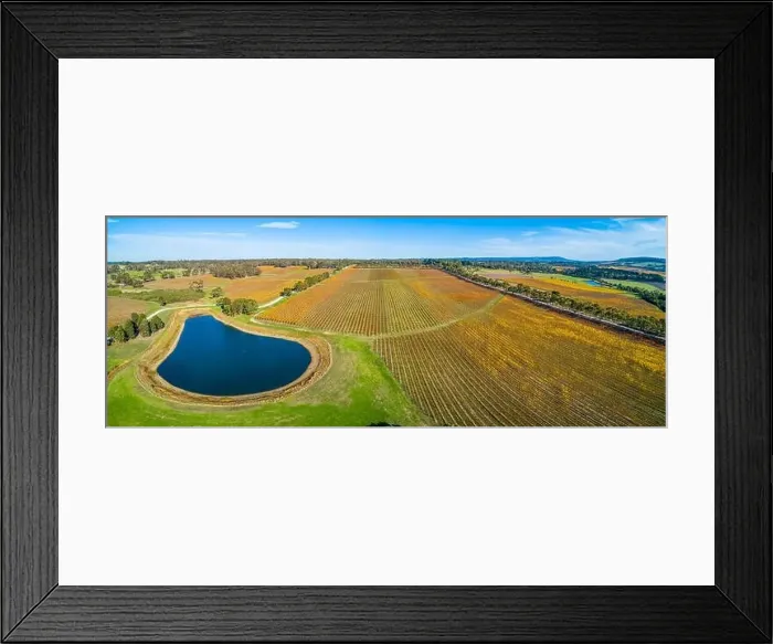 Framed Print : Wide aerial panoramic landscape of vineyard. Tuerong, Victoria, Australia Framed Print : Wide aerial panoramic landscape of vineyard. Tuerong, Victoria, Australia