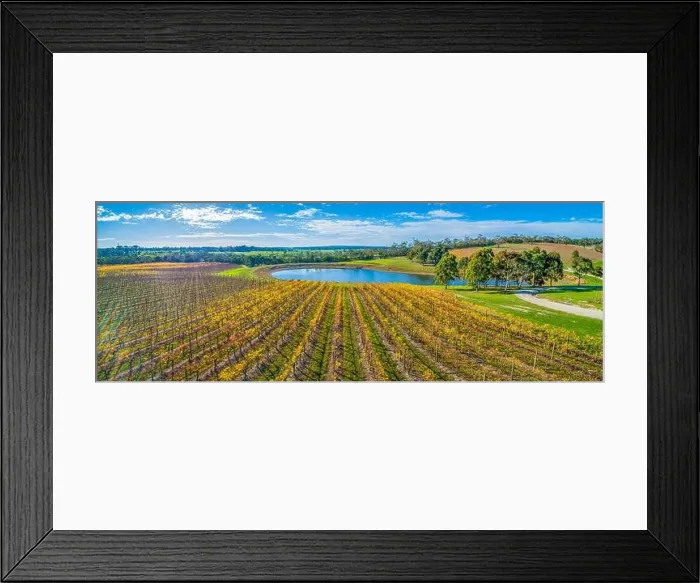 Framed Print : Stunning winery and pond in autumn. Mornington Peninsula, Australia Framed Print : Stunning winery and pond in autumn. Mornington Peninsula, Australia
