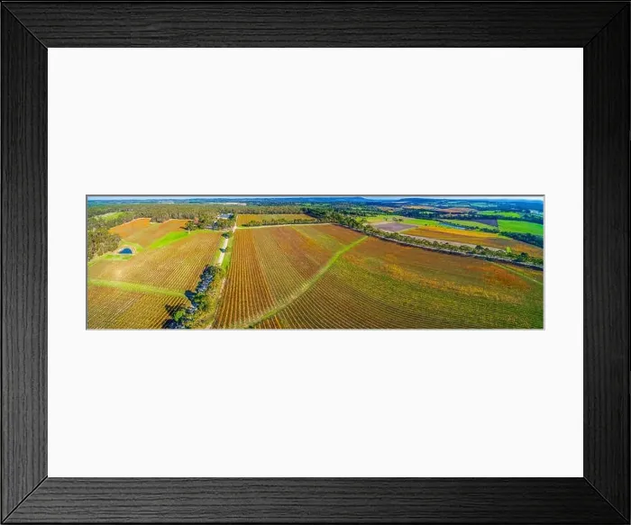 Framed Print : Beautiful vineyard in autumn in Melbourne, Australia - wide aerial panorama Framed Print : Beautiful vineyard in autumn in Melbourne, Australia - wide aerial panorama