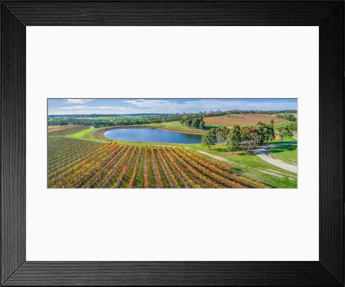 Framed Print : Aerial panorama of vineyard and pond on bright sunny day in fall. Mornington Peninsula, Australia Framed Print : Aerial panorama of vineyard and pond on bright sunny day in fall. Mornington Peninsula, Australia
