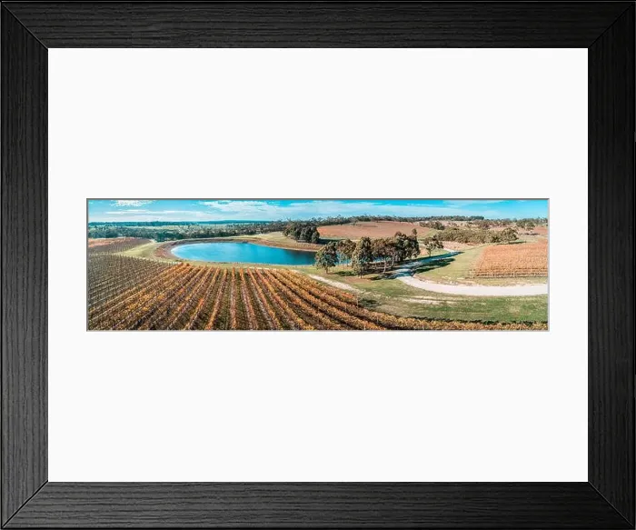 Framed Print : Vineyard and pond on bright sunny day in fall. Mornington Peninsula, Australia Framed Print : Vineyard and pond on bright sunny day in fall. Mornington Peninsula, Australia