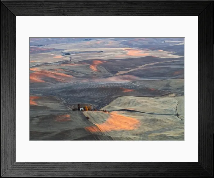 Framed Print : Farmland in the Palouse, Palouse, Washington State, United States of America, North America Framed Print : Farmland in the Palouse, Palouse, Washington State, United States of America, North America