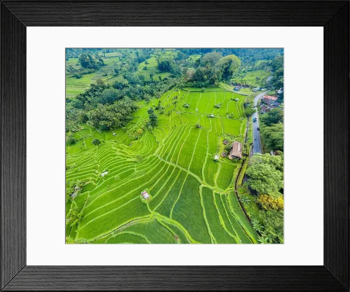 Framed Print : Top down aerial view of rice terraces in Bali, Indonesia Framed Print : Top down aerial view of rice terraces in Bali, Indonesia