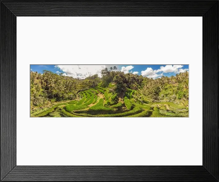 Framed Print : Rice Terrace Aerial Shot. Image of beautiful terrace rice field Framed Print : Rice Terrace Aerial Shot. Image of beautiful terrace rice field