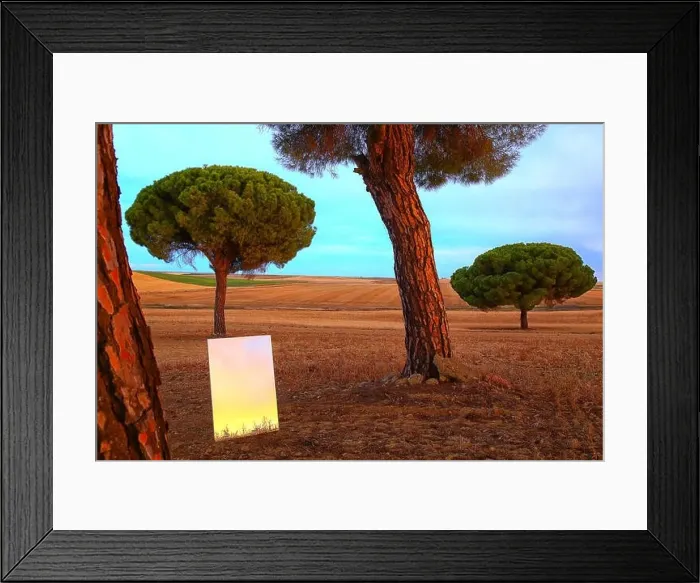 Framed Print : Reflection on a mirror in a cereal crop field in the Villafafila natural park. zamora. Spain Framed Print : Reflection on a mirror in a cereal crop field in the Villafafila natural park. zamora. Spain