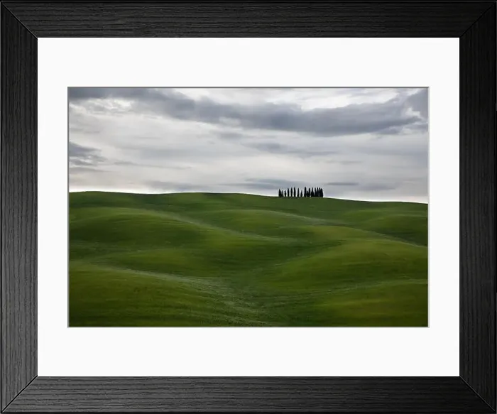 Framed Print : Val d'Orcia famous cypress trees on a cloudy and overcast day. Tuscany, Italy Framed Print : Val d'Orcia famous cypress trees on a cloudy and overcast day. Tuscany, Italy