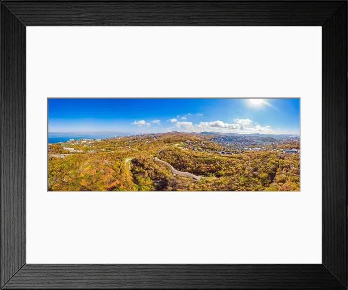 Framed Print : Aerial top down view of autumn forest with green and yellow trees Framed Print : Aerial top down view of autumn forest with green and yellow trees
