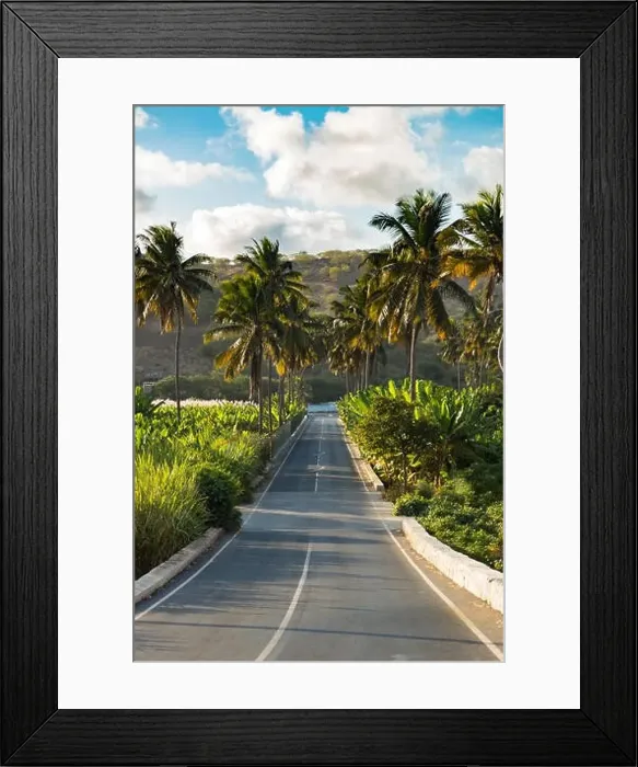 Framed Print : Coconut, banana, and sugar canne plantation near Achada Fazenda in Santiago Island in Cape Verde - Cabo Verde