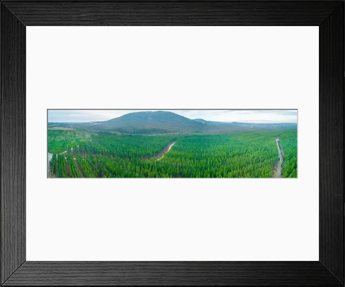 Framed Print : Wide aerial panoramic landscape of pine trees forest and hills in Melbourne, Australia