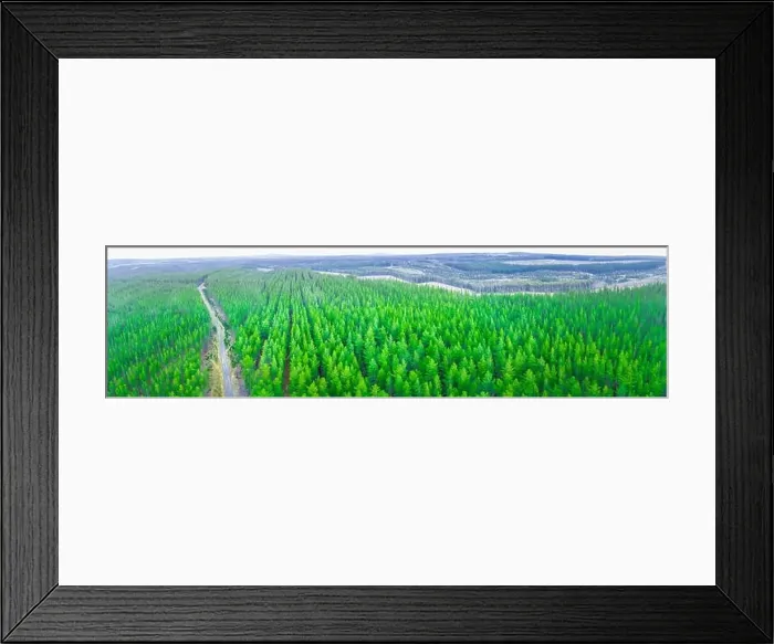 Framed Print : Rural road passing through pine trees forest in Melbourne, Australia - wide aerial panorama