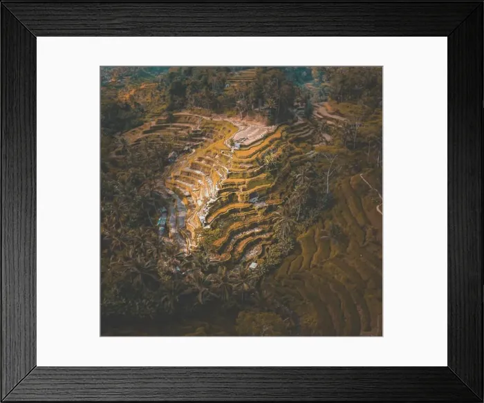 Framed Print : Tegallalang Rice Terraces from above, in Ubud, Bali, Indonesia Framed Print : Tegallalang Rice Terraces from above, in Ubud, Bali, Indonesia