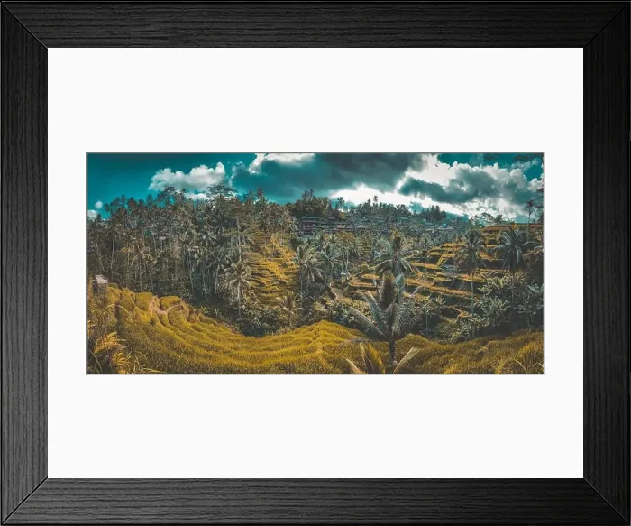 Framed Print : Tegallalang Rice Terraces from above, in Ubud, Bali, Indonesia Framed Print : Tegallalang Rice Terraces from above, in Ubud, Bali, Indonesia
