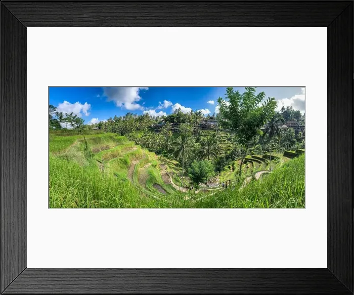 Framed Print : Tegallalang Rice Terraces from above, in Ubud, Bali, Indonesia Framed Print : Tegallalang Rice Terraces from above, in Ubud, Bali, Indonesia