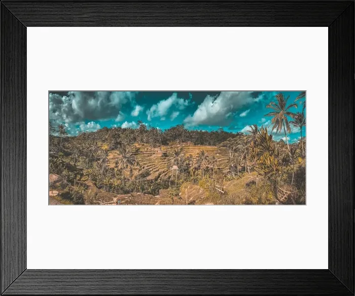 Framed Print : Tegallalang Rice Terraces from above, in Ubud, Bali, Indonesia Framed Print : Tegallalang Rice Terraces from above, in Ubud, Bali, Indonesia