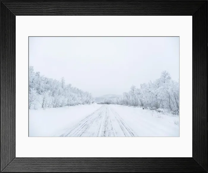 Framed Print : Very white panorama of trees covered in snow in Lapland Framed Print : Very white panorama of trees covered in snow in Lapland