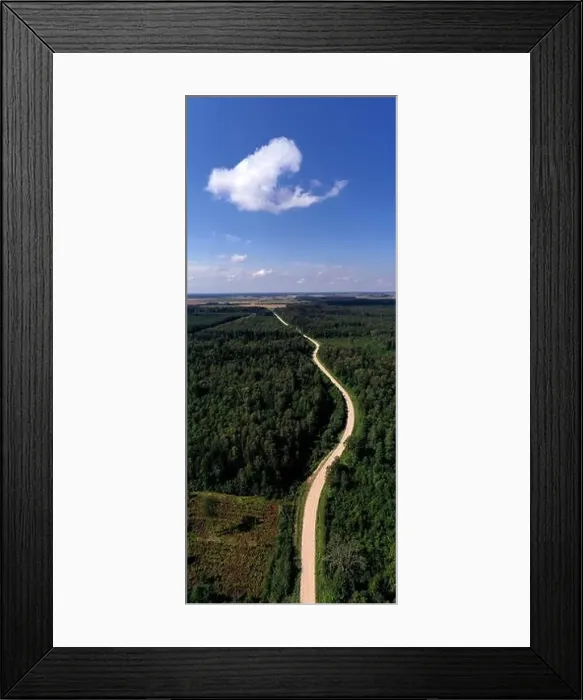 Framed Print : Summer time forest landscape with gravel road, aerial view Framed Print : Summer time forest landscape with gravel road, aerial view