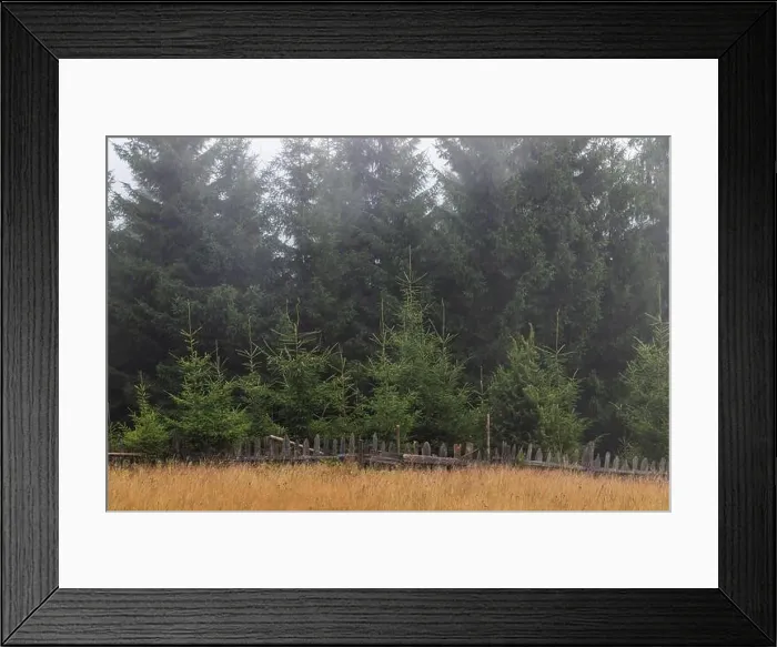 Framed Print : Summer landscape of the mountain village in Bucovina Framed Print : Summer landscape of the mountain village in Bucovina