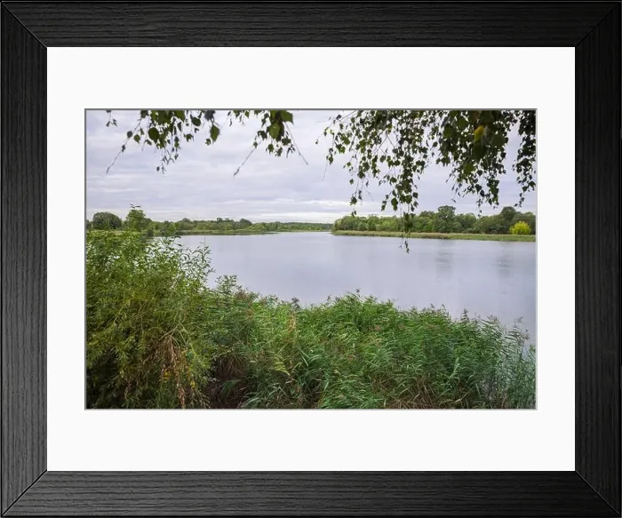 Framed Print : City Carnikava, Latvian Republic. Green nature in summer with River Gauja and waves. Travel photo. Sep 04. 2019 Framed Print : City Carnikava, Latvian Republic. Green nature in summer with River Gauja and waves. Travel photo. Sep 04. 2019