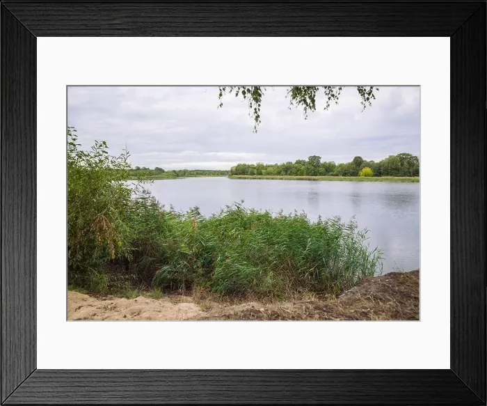 Framed Print : City Carnikava, Latvian Republic. Green nature in summer with River Gauja and waves. Travel photo. Sep 04. 2019 Framed Print : City Carnikava, Latvian Republic. Green nature in summer with River Gauja and waves. Travel photo. Sep 04. 2019