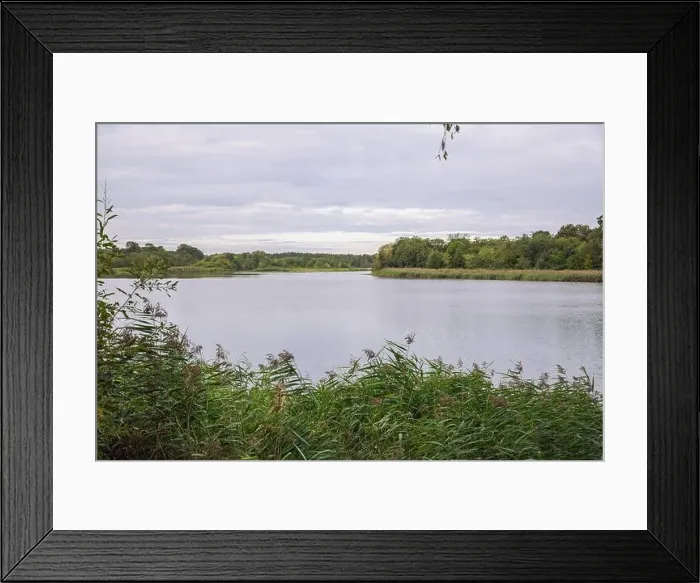 Framed Print : City Carnikava, Latvian Republic. Green nature in summer with River Gauja and waves. Travel photo. Sep 04. 2019 Framed Print : City Carnikava, Latvian Republic. Green nature in summer with River Gauja and waves. Travel photo. Sep 04. 2019