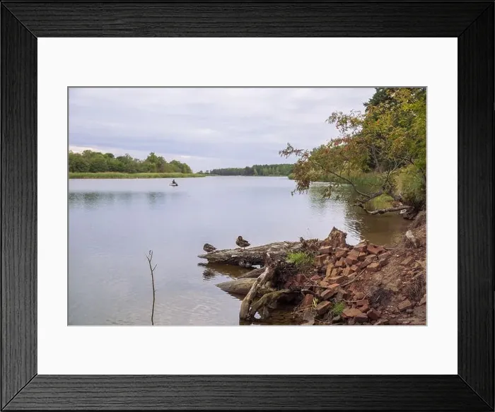 Framed Print : City Carnikava, Latvian Republic. Green nature in summer with River Gauja and waves. Travel photo. Sep 04. 2019 Framed Print : City Carnikava, Latvian Republic. Green nature in summer with River Gauja and waves. Travel photo. Sep 04. 2019