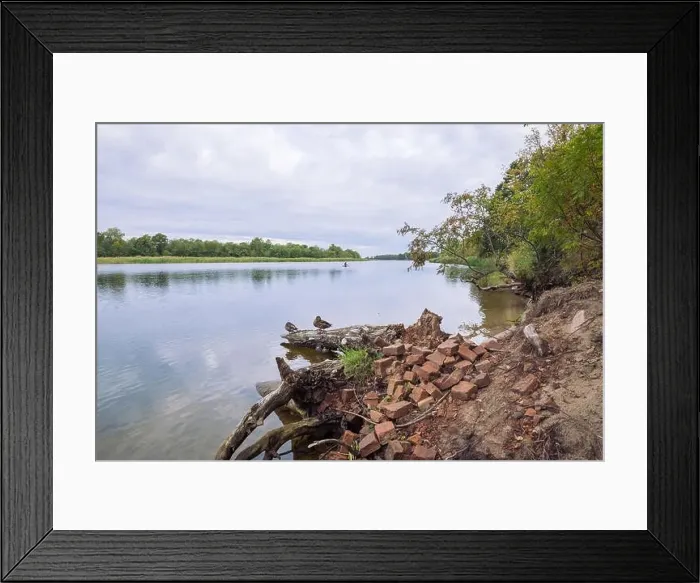 Framed Print : City Carnikava, Latvian Republic. Green nature in summer with River Gauja and waves. Travel photo. Sep 04. 2019 Framed Print : City Carnikava, Latvian Republic. Green nature in summer with River Gauja and waves. Travel photo. Sep 04. 2019