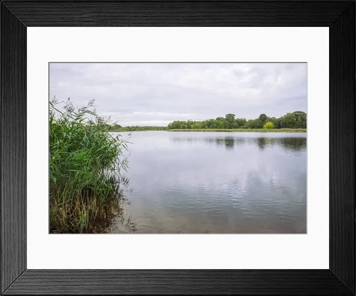 Framed Print : City Carnikava, Latvian Republic. Green nature in summer with River Gauja and waves. Travel photo. Sep 04. 2019 Framed Print : City Carnikava, Latvian Republic. Green nature in summer with River Gauja and waves. Travel photo. Sep 04. 2019