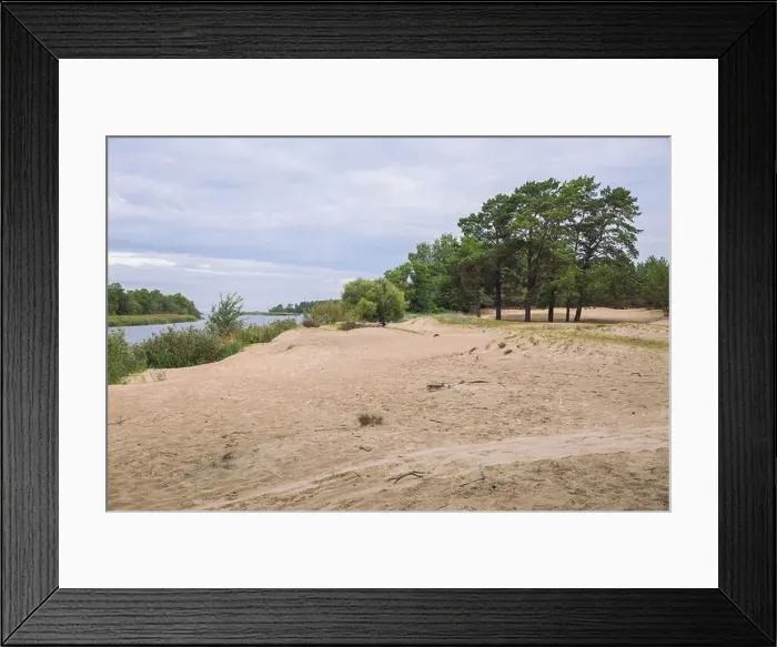 Framed Print : City Carnikava, Latvian Republic. Green nature in summer with River Gauja and waves. Travel photo. Sep 04. 2019 Framed Print : City Carnikava, Latvian Republic. Green nature in summer with River Gauja and waves. Travel photo. Sep 04. 2019