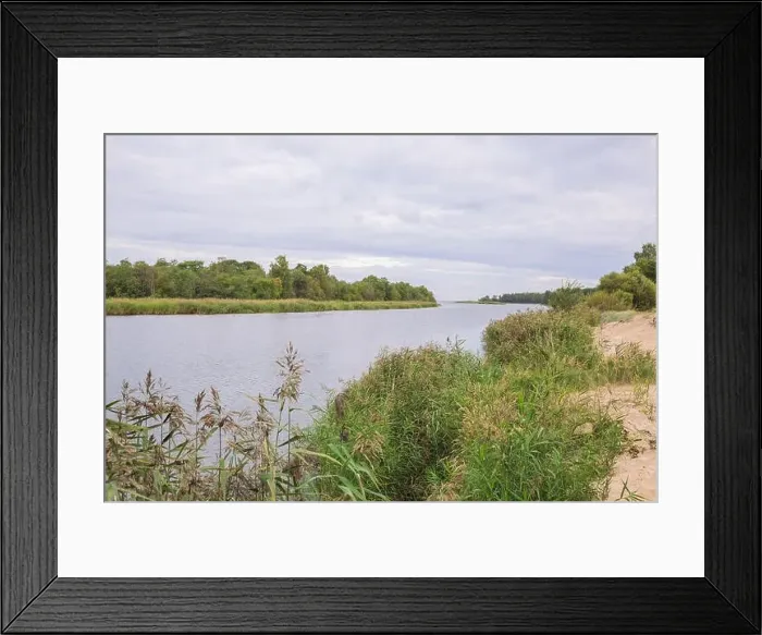 Framed Print : City Carnikava, Latvian Republic. Green nature in summer with River Gauja and waves. Travel photo. Sep 04. 2019 Framed Print : City Carnikava, Latvian Republic. Green nature in summer with River Gauja and waves. Travel photo. Sep 04. 2019