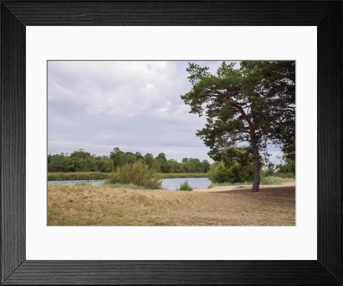 Framed Print : City Carnikava, Latvian Republic. Green nature in summer with River Gauja and waves. Travel photo. Sep 04. 2019 Framed Print : City Carnikava, Latvian Republic. Green nature in summer with River Gauja and waves. Travel photo. Sep 04. 2019