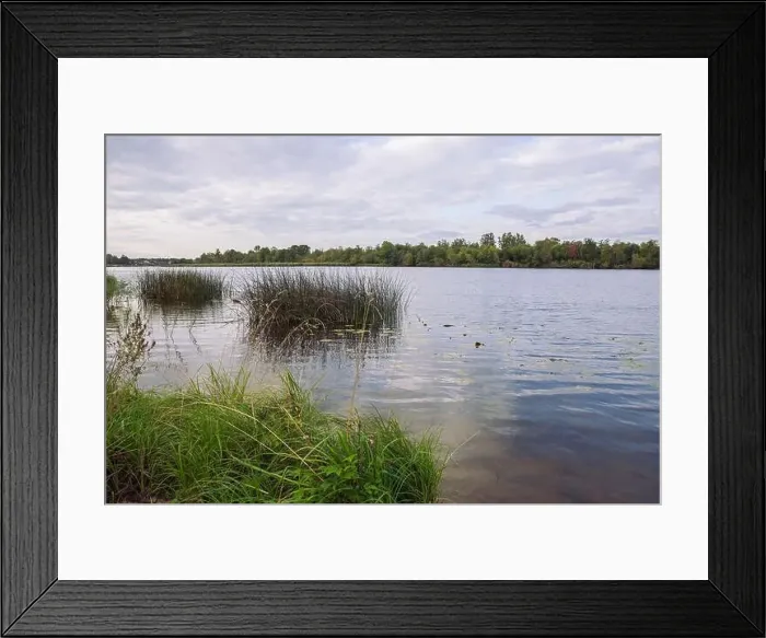 Framed Print : City Carnikava, Latvian Republic. Green nature in summer with River Gauja and waves. Travel photo. Sep 04. 2019 Framed Print : City Carnikava, Latvian Republic. Green nature in summer with River Gauja and waves. Travel photo. Sep 04. 2019