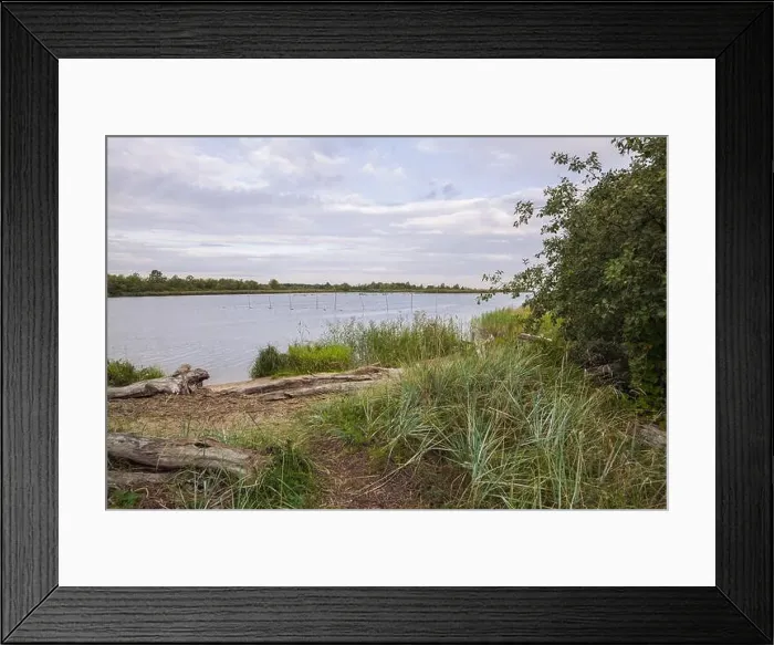 Framed Print : City Carnikava, Latvian Republic. Green nature in summer with River Gauja and waves. Travel photo. Sep 04. 2019 Framed Print : City Carnikava, Latvian Republic. Green nature in summer with River Gauja and waves. Travel photo. Sep 04. 2019
