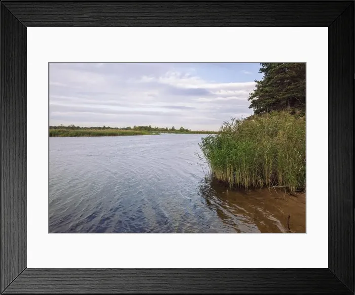 Framed Print : City Carnikava, Latvian Republic. Green nature in summer with River Gauja and waves. Travel photo. Sep 04. 2019 Framed Print : City Carnikava, Latvian Republic. Green nature in summer with River Gauja and waves. Travel photo. Sep 04. 2019