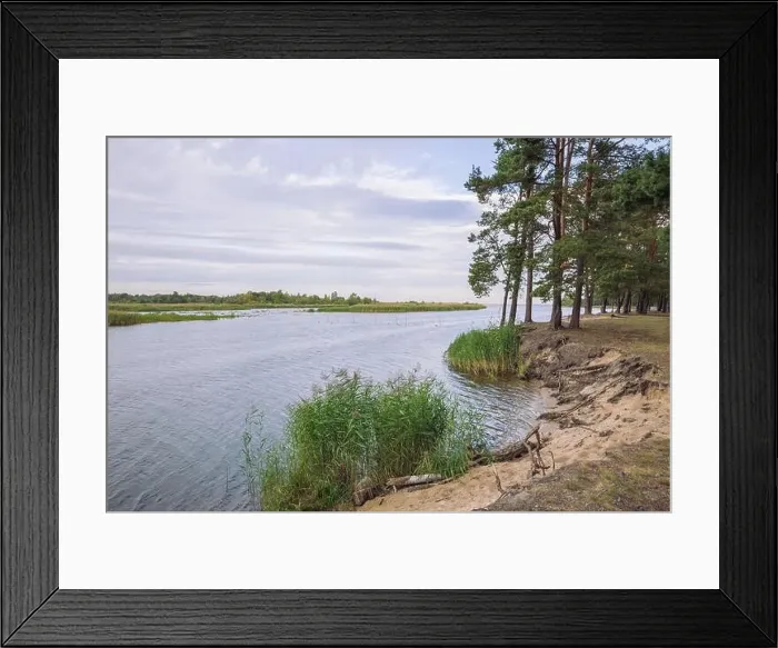Framed Print : City Carnikava, Latvian Republic. Green nature in summer with River Gauja and waves. Travel photo. Sep 04. 2019 Framed Print : City Carnikava, Latvian Republic. Green nature in summer with River Gauja and waves. Travel photo. Sep 04. 2019