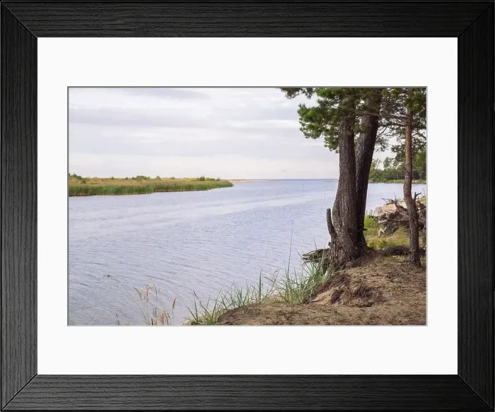Framed Print : City Carnikava, Latvian Republic. Green nature in summer with River Gauja and waves. Travel photo. Sep 04. 2019 Framed Print : City Carnikava, Latvian Republic. Green nature in summer with River Gauja and waves. Travel photo. Sep 04. 2019