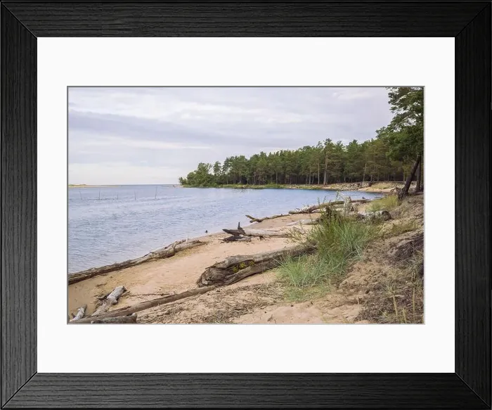 Framed Print : City Carnikava, Latvian Republic. Green nature in summer with River Gauja and waves. Travel photo. Sep 04. 2019 Framed Print : City Carnikava, Latvian Republic. Green nature in summer with River Gauja and waves. Travel photo. Sep 04. 2019