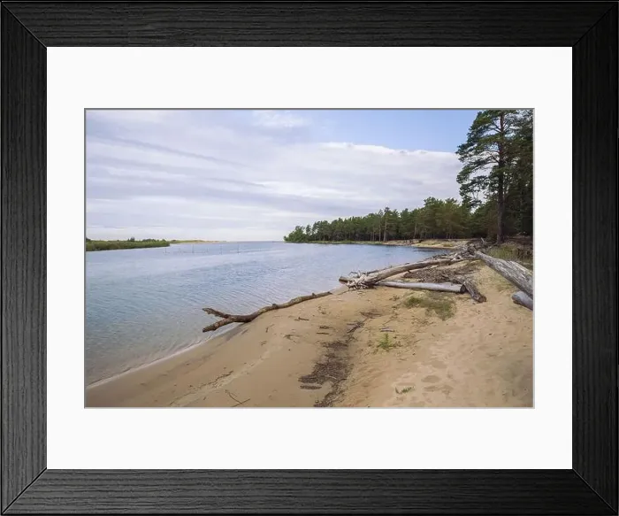 Framed Print : City Carnikava, Latvian Republic. Green nature in summer with River Gauja and waves. Travel photo. Sep 04. 2019 Framed Print : City Carnikava, Latvian Republic. Green nature in summer with River Gauja and waves. Travel photo. Sep 04. 2019