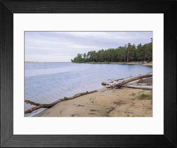 Framed Print : City Carnikava, Latvian Republic. Green nature in summer with River Gauja and waves. Travel photo. Sep 04. 2019 Framed Print : City Carnikava, Latvian Republic. Green nature in summer with River Gauja and waves. Travel photo. Sep 04. 2019