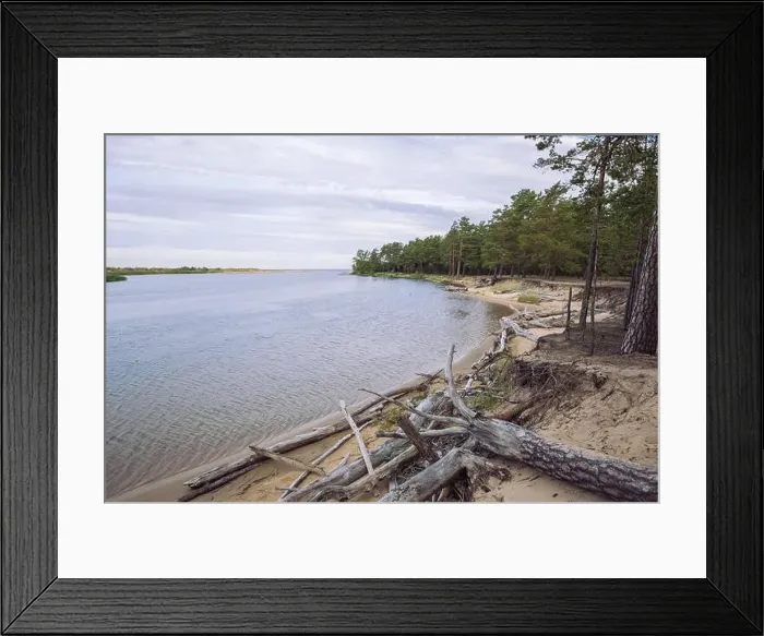 Framed Print : City Carnikava, Latvian Republic. Green nature in summer with River Gauja and waves. Travel photo. Sep 04. 2019 Framed Print : City Carnikava, Latvian Republic. Green nature in summer with River Gauja and waves. Travel photo. Sep 04. 2019
