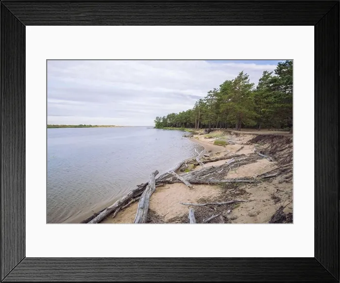 Framed Print : City Carnikava, Latvian Republic. Green nature in summer with River Gauja and waves. Travel photo. Sep 04. 2019 Framed Print : City Carnikava, Latvian Republic. Green nature in summer with River Gauja and waves. Travel photo. Sep 04. 2019