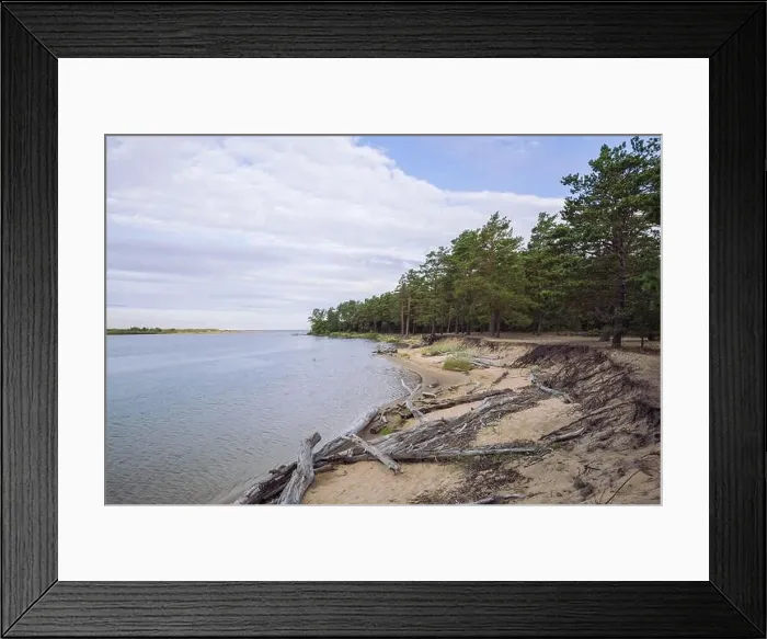 Framed Print : City Carnikava, Latvian Republic. Green nature in summer with River Gauja and waves. Travel photo. Sep 04. 2019 Framed Print : City Carnikava, Latvian Republic. Green nature in summer with River Gauja and waves. Travel photo. Sep 04. 2019