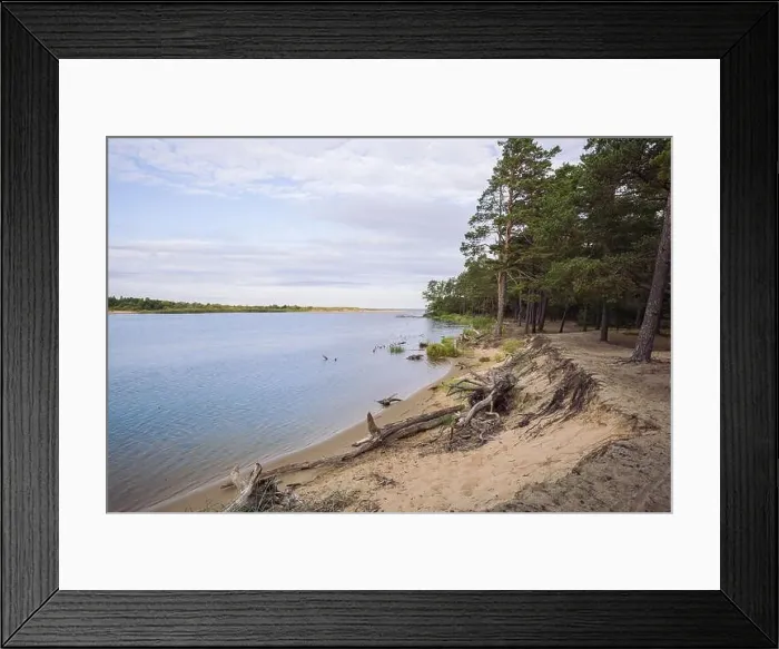 Framed Print : City Carnikava, Latvian Republic. Green nature in summer with River Gauja and waves. Travel photo. Sep 04. 2019 Framed Print : City Carnikava, Latvian Republic. Green nature in summer with River Gauja and waves. Travel photo. Sep 04. 2019