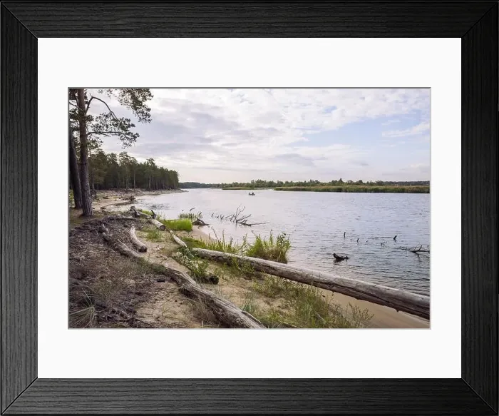 Framed Print : City Carnikava, Latvian Republic. Green nature in summer with River Gauja and waves. Travel photo. Sep 04. 2019 Framed Print : City Carnikava, Latvian Republic. Green nature in summer with River Gauja and waves. Travel photo. Sep 04. 2019